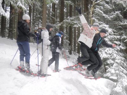 blinde Kühe blinde Kühe